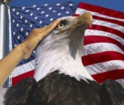 eaglesalute.jpg