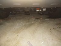 IMG_20190208_161251.jpg