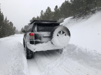 IMG_0242.jpg