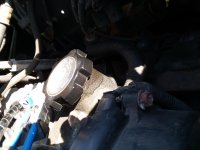20181009_102605.jpg