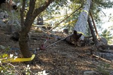 Idyllwild2455.jpg
