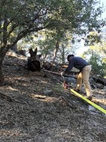Idyllwild0745.jpg