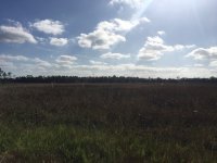 IMG_1409.jpeg