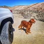 IMG_20190317_150254_478-1512x1512.jpg