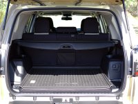 3. TRUNK.jpg