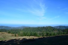 DSC_0020.jpg