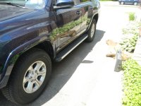 DSCN5328.jpg