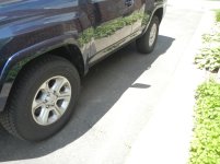DSCN5329.jpg