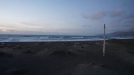 DSC00464.jpg