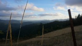 DSC00448.jpg