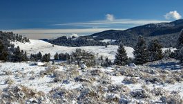 IMG_0012e.jpg