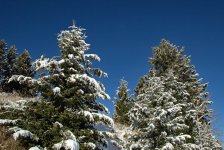 IMG_0022e.jpg