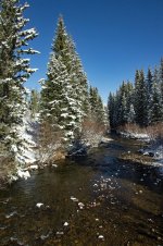 IMG_0547e.jpg