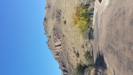 20181119_145118.jpg