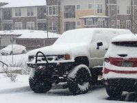 IMG_2908.jpg