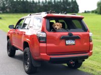 IMG_0777.jpg