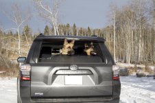 4Runner3.jpg