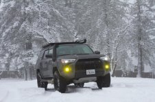 IMG_3242.jpg