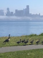 IMG_5261.jpg