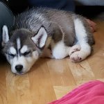 20190525_141727.jpg