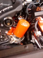 2010-07-27 10.10.37.jpg