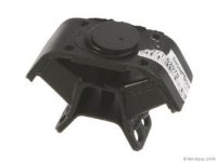 trans mount.jpg