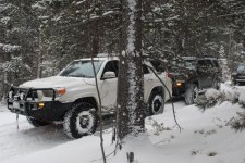 DSC_0042.jpg