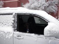 12-26-2010 075rs.jpg