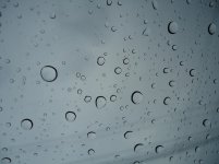 DSC00093.jpg