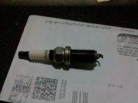 IMG_20101020_195156.jpg