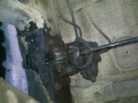 IMG_20110305_104652.jpg