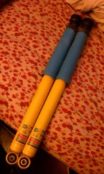 IMAG0130.jpg