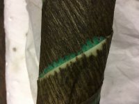 IMG_0374.JPG