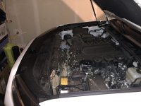 RdDYeTth.jpg