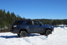 4runner_sugarpine.jpg