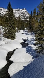 20190320_120018e.jpg