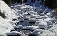 20190320_163437e.jpg