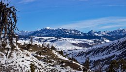 IMG_0243e.jpg