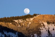 IMG_0178e.jpg