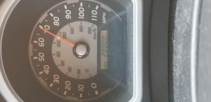 20190327_075417.jpg