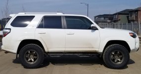 t4r1.jpg