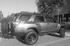 DSC_0335.jpg