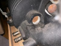 IMG_8977.jpg