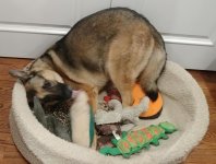 nala toys.jpg