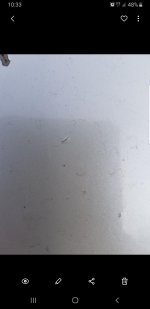 Screenshot_20191009-103314_Gallery.jpg