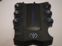 DSCN5408.jpg