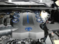 DSCN5410.jpg