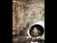 48CE83E1-ABBE-4D90-AFDC-DD537000CEEA.png