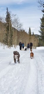 IMG_5639.JPG