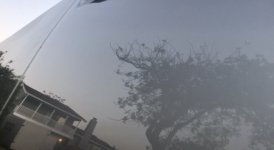 940F0083-5965-4D7E-8E53-D1E18D6B6490.jpeg
